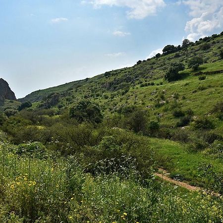 Mul Kinneret Livnim Zewnętrze zdjęcie