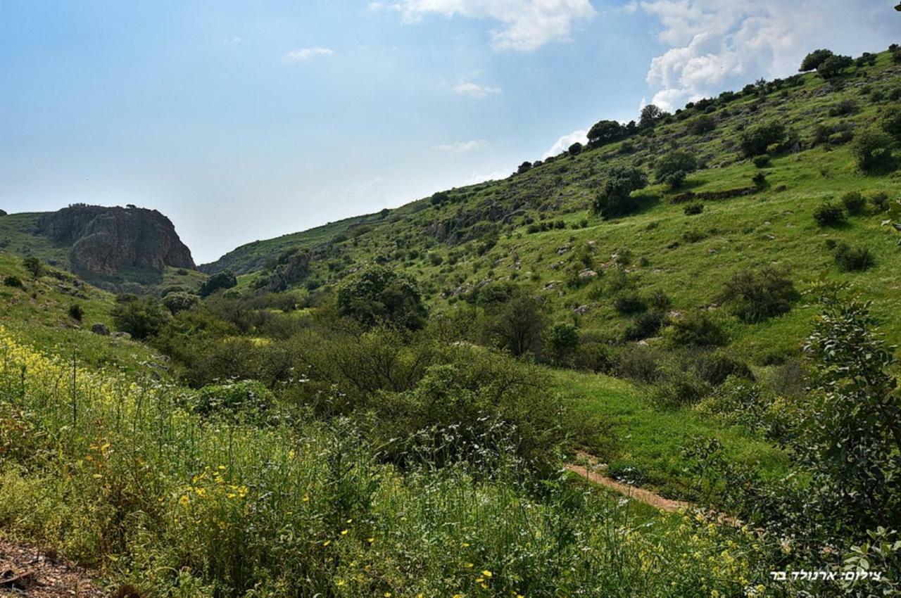 Mul Kinneret Livnim Zewnętrze zdjęcie