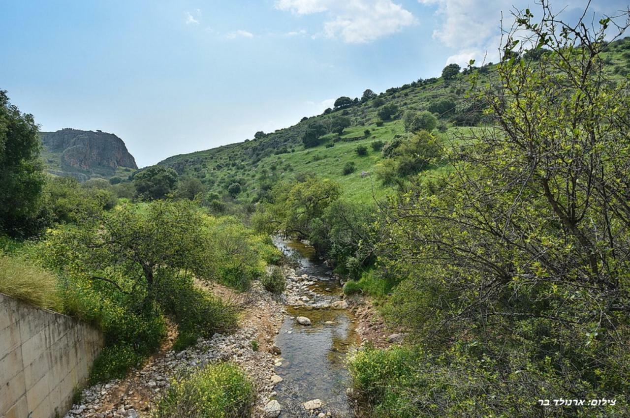 Mul Kinneret Livnim Zewnętrze zdjęcie